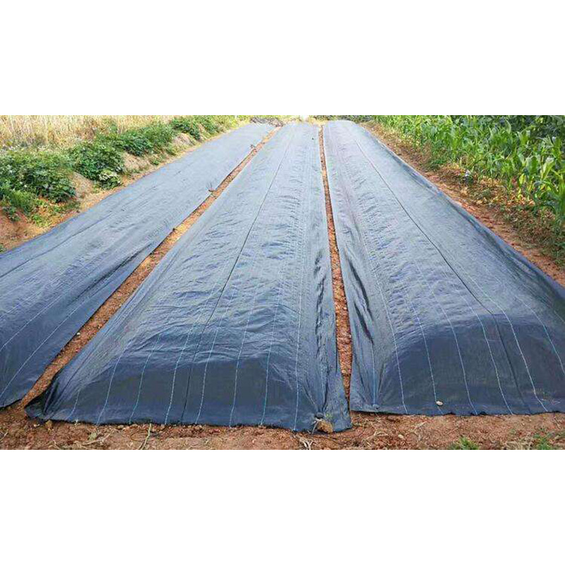 PP-Agriculture-Ground-Cover-Mulch-Film-Weed-Mat.jpg