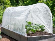 Cobertor gelado para plantas, tecido flutuante para jardim